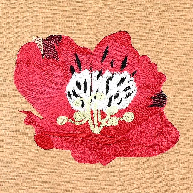 BFC0948 Alstroemeria-Peruvian Lilies