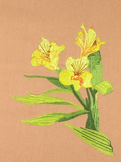 BFC0948 Alstroemeria-Peruvian Lilies