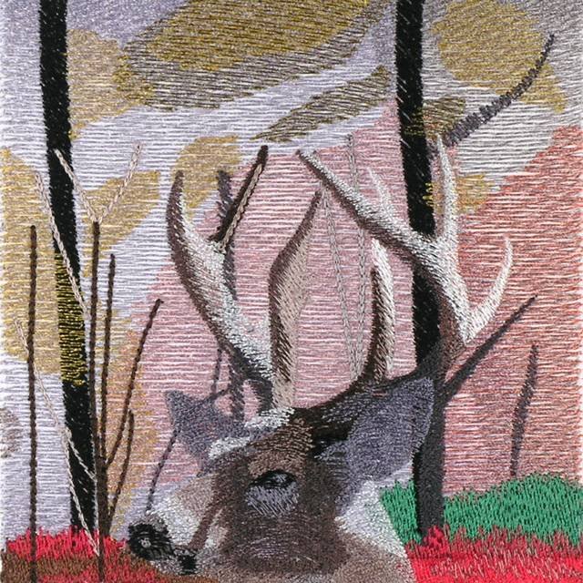 BFC0952 Window-A Majestic Buck in fading Sunlight
