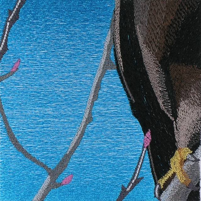 BFC0954 Window-An Eagle in Springtime