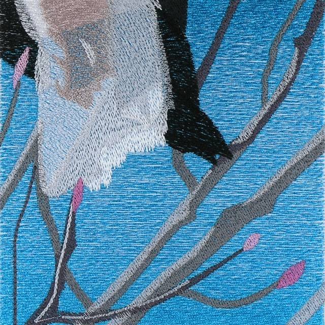 BFC0954 Window-An Eagle in Springtime