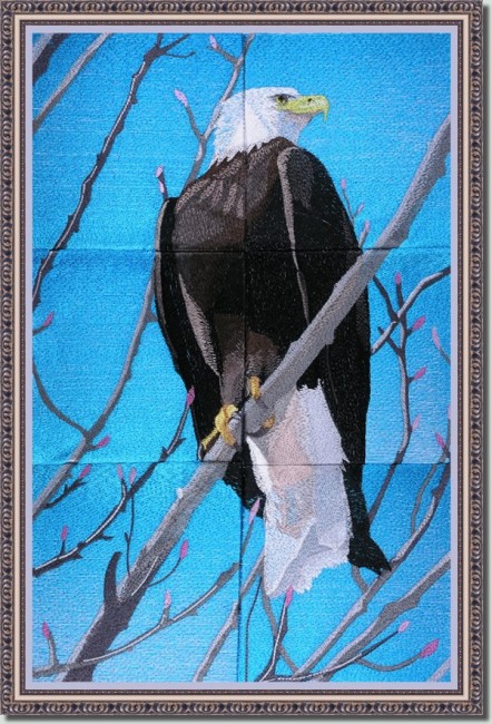 Seasons of the Eagle