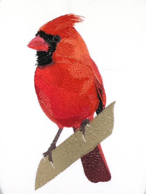 BFC0956 Cardinals II