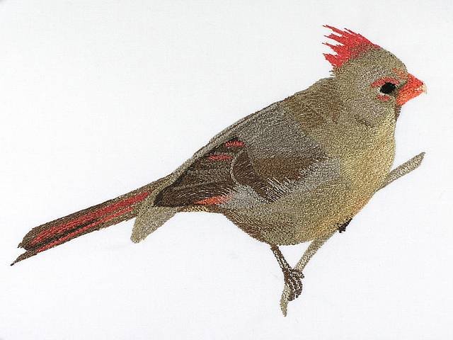 BFC0956 Cardinals II