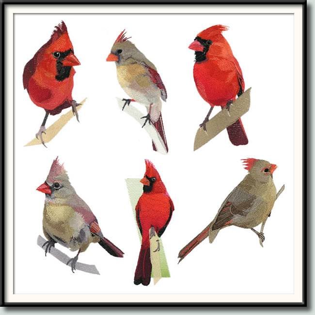 BFC0956 Cardinals II