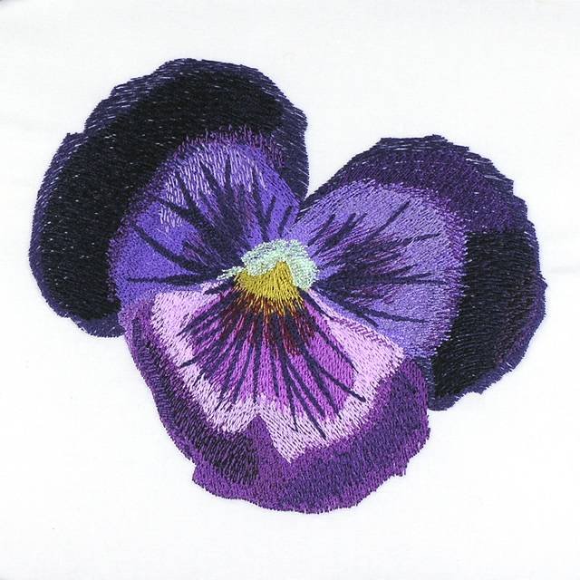 BFC0960 Pansies and Pentunias