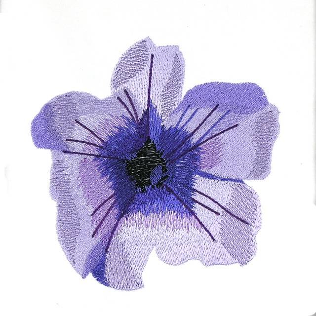 BFC0960 Pansies and Pentunias