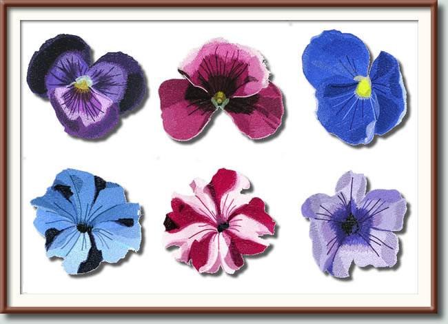 BFC0960 Pansies and Pentunias