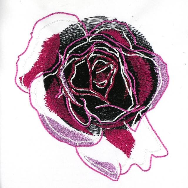 BFC0964 Rose Reflections