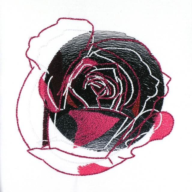 BFC0964 Rose Reflections