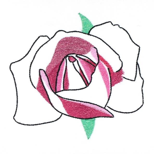 BFC0964 Rose Reflections