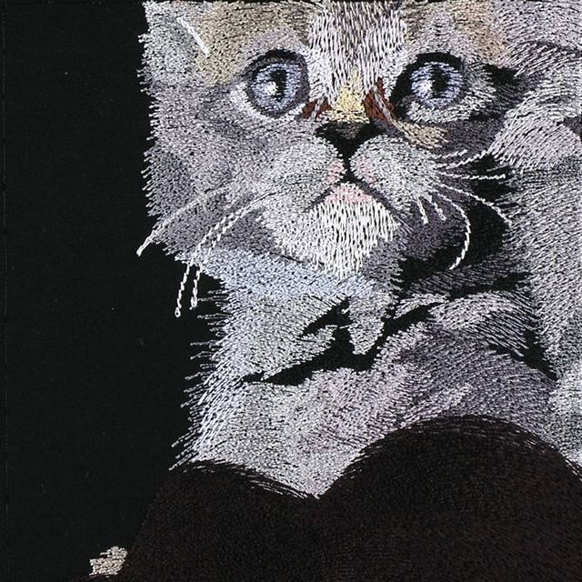 BFC0968 Window-Three Kittens