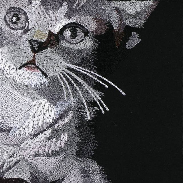 BFC0968 Window-Three Kittens