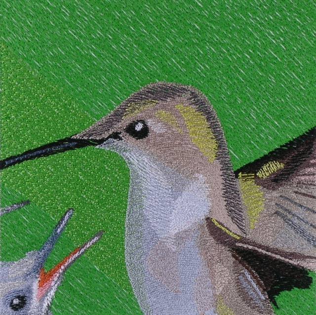 BFC0970 Window-Hummingbird with Babies