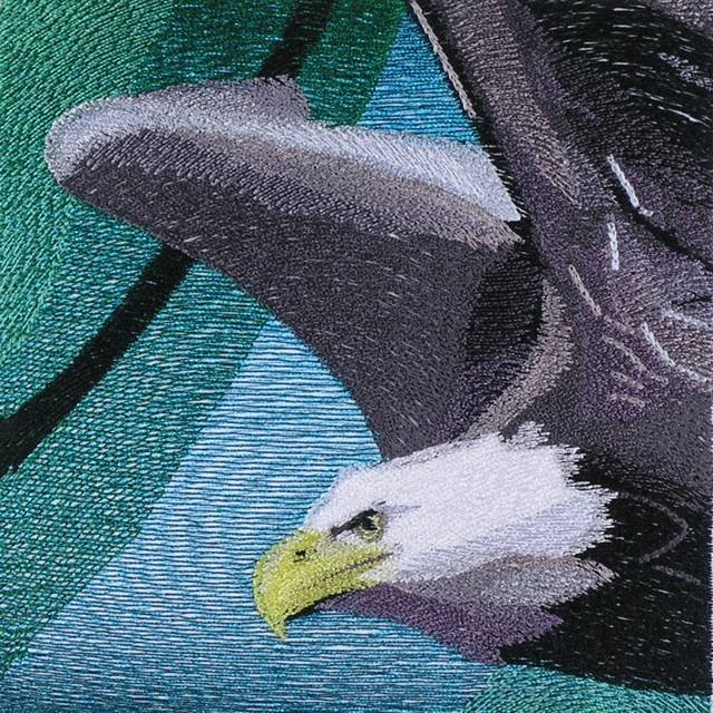 BFC0975 Window-An Eagle in Summertime