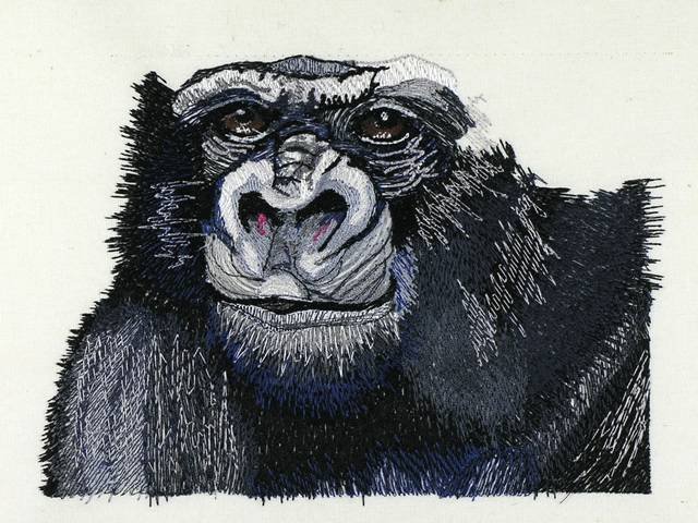 BFC0978 Safari Series-Gorilla