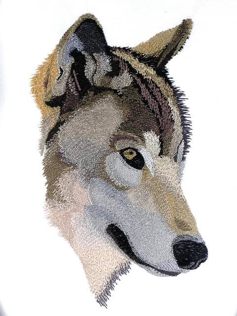 BFC0983 Two Wolf Portraits