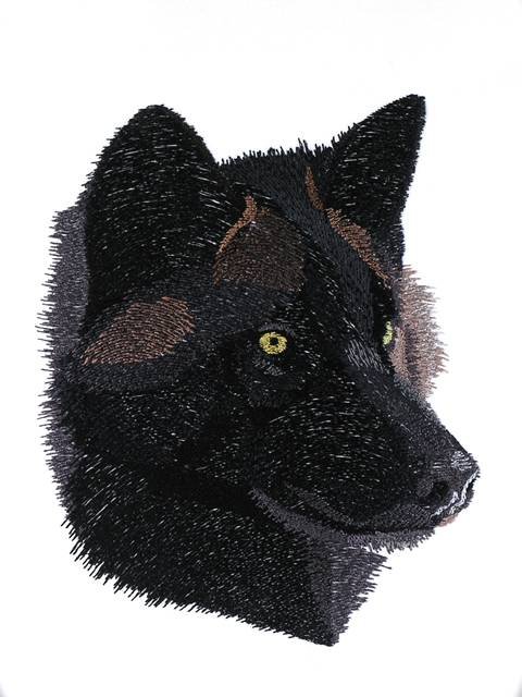 BFC0983 Two Wolf Portraits