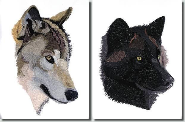 BFC0983 Two Wolf Portraits