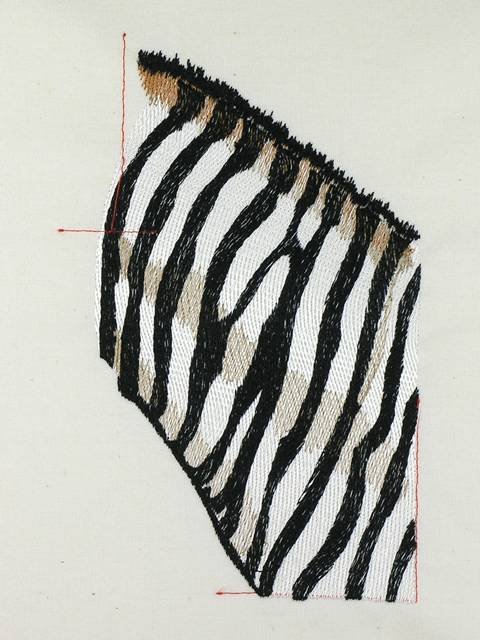 BFC0991 Safari Series-Zebra