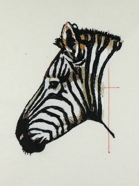 BFC0991 Safari Series-Zebra