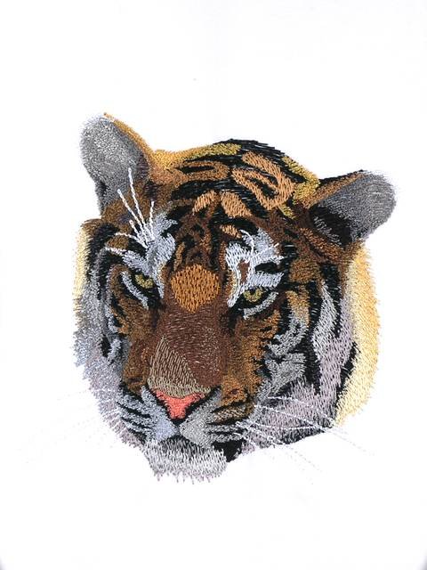 BFC0995 Two Tiger Portraits