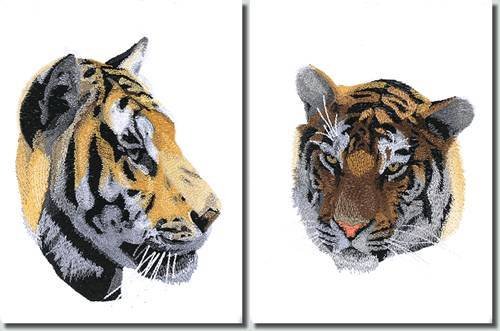 BFC0995 Two Tiger Portraits
