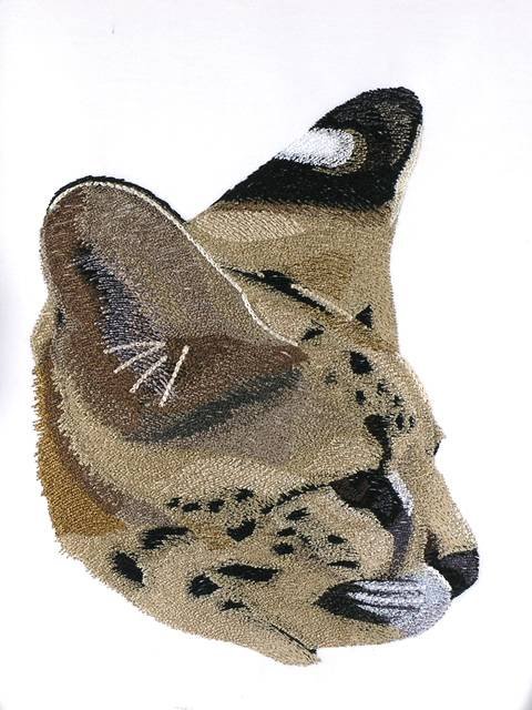 BFC0996 Two Serval Portraits