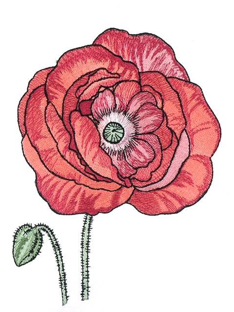 BFC0997 Poppies with Oriental Influence