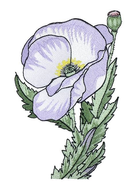 BFC0997 Poppies with Oriental Influence