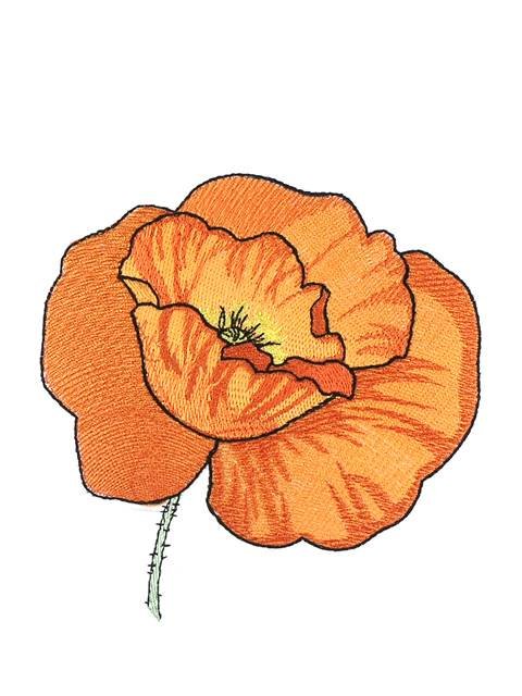 BFC0997 Poppies with Oriental Influence