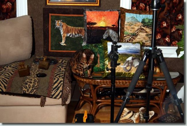 BFC0998 Safari Series-Elephant