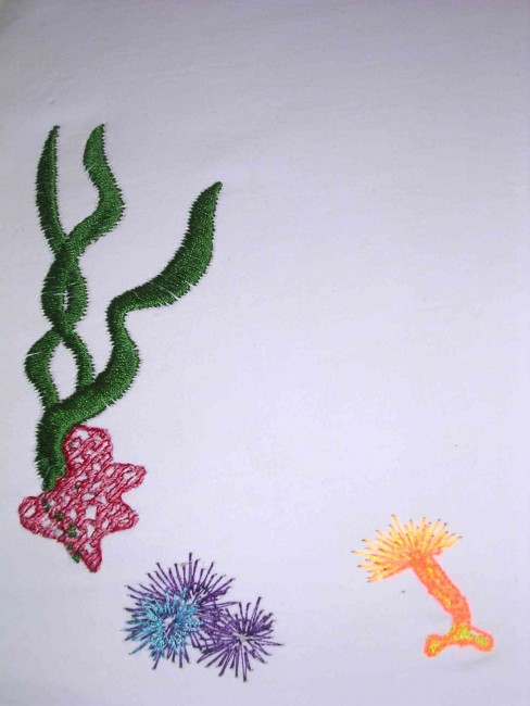 BFC0120 Under the Sea