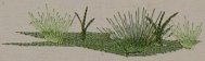BFC0153 Summer Garden