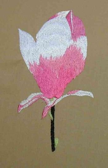 BFC0184 Pink Magnolias