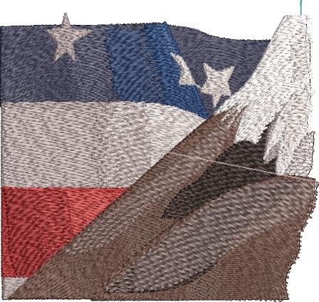 BFC1920 Large Eagle with American Flag IV