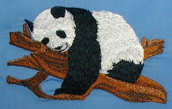 BFC0194 Pandas of the Orient