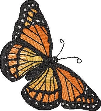 BFC2018 Delight's Monarchs and Roses