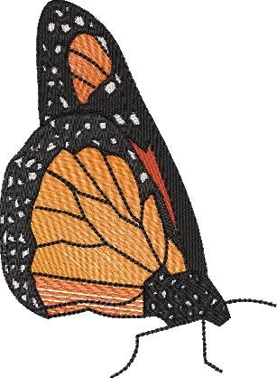 BFC2018 Delight's Monarchs and Roses