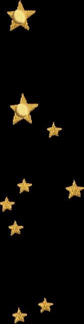 BFC2042 Delight's Stargazers