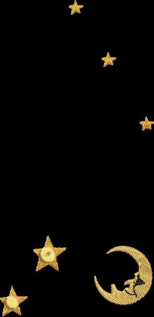 BFC2042 Delight's Stargazers