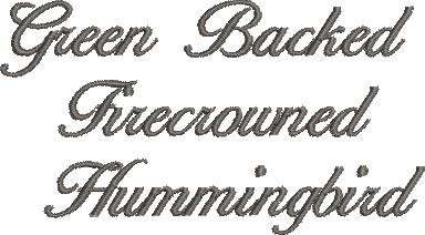 BFC2089 Vintage Hummingbirds with Flowers
