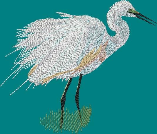 BFC2094 Snowy Egret