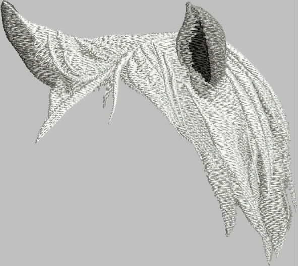 BFC2124 Large Portrait of a White Horse