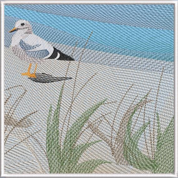 BFC2159 The Seagulls - Part 3