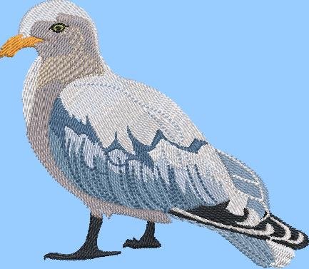 BFC2162 The Seagulls - Part 5 Elements