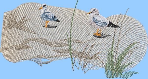 BFC2162 The Seagulls - Part 5 Elements