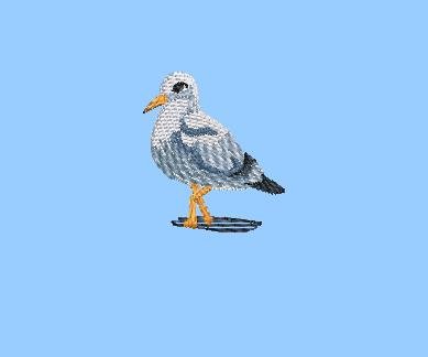 BFC2162 The Seagulls - Part 5 Elements