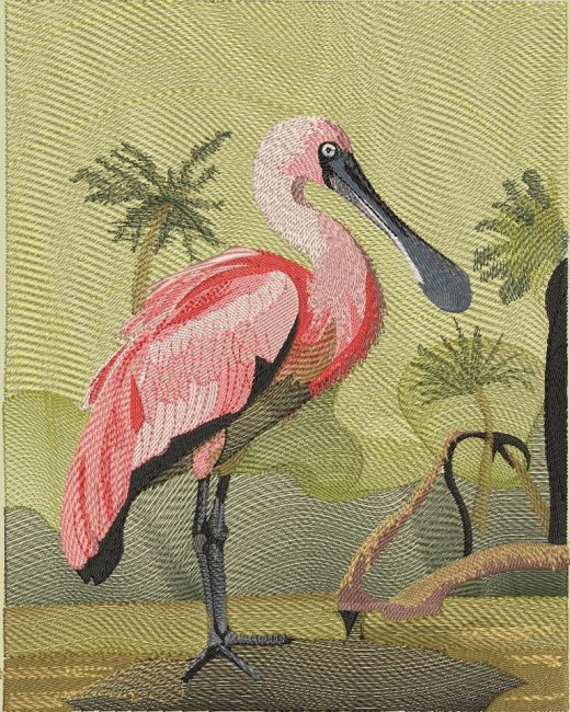 BFC2163 The Spoonbill