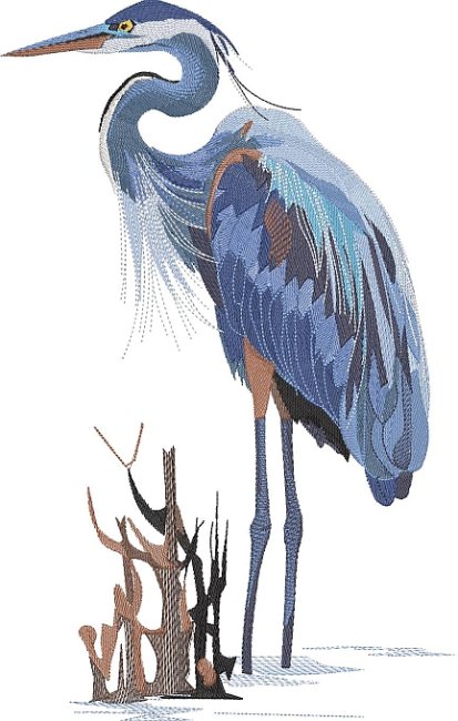BFC2168 The Great Blue Heron